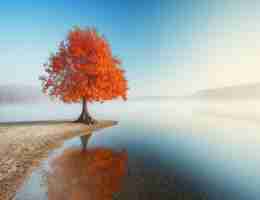 docker到‌底‍有‍什​么‌用﻿